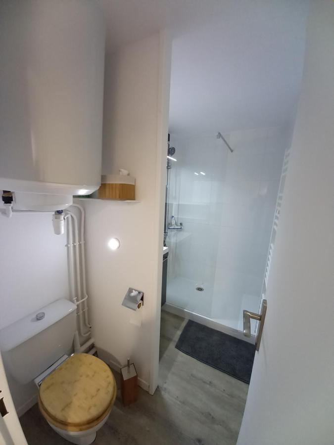 Appartement Cabine St-Lary-Soulan, Calme, Entierement Renove Saint-Lary-Soulan Eksteriør billede